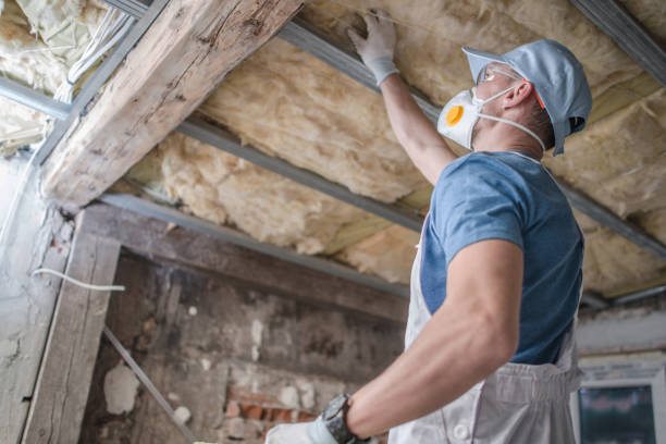 Best Insulation for Specific Applications in Taylorsville, KY