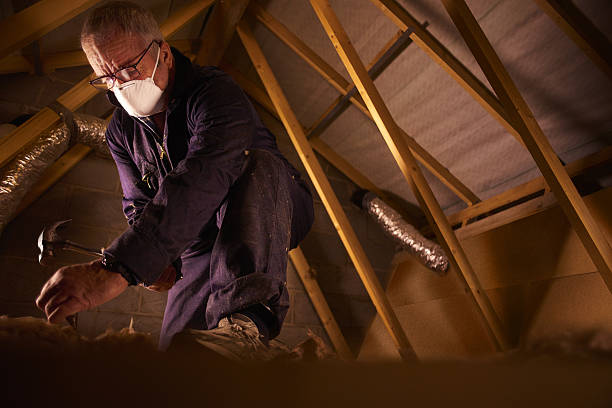 Best Eco-Friendly Insulation in Taylorsville, KY